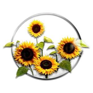 Sunflower Sunset Background Png Tpf41 PNG image