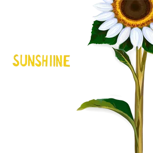 Sunflower Sunshine Png Rmi36 PNG image