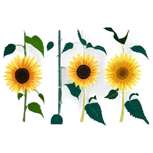 Sunflower Transparent Background Design PNG Ucu25 PNG