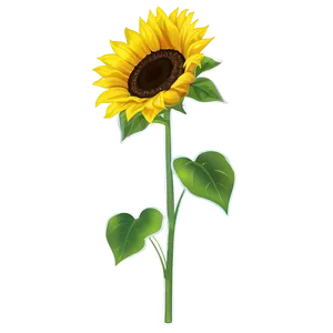 Sunflower Transparent Cutout PNG 73 PNG
