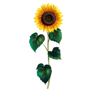 Sunflower Transparent Decoration PNG 17