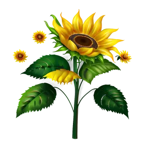 Sunflower Transparent Decoration PNG Try48 PNG