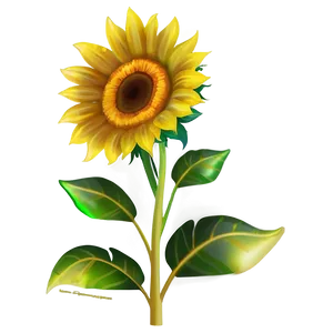 Sunflower Transparent Icon PNG Uqa70