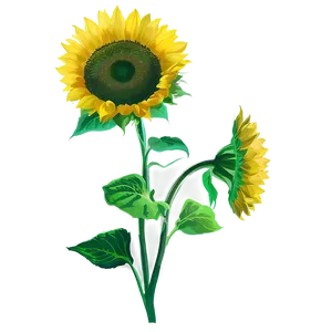 Sunflower Transparent Overlay PNG Xpy