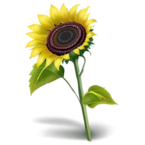 Sunflower Transparent Sign PNG 2 PNG