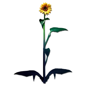 Sunflower Transparent Sign PNG Skd64 PNG