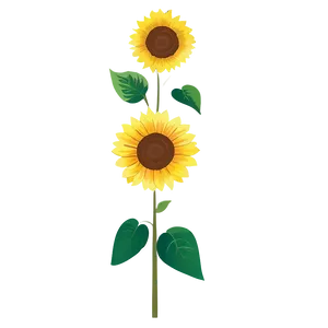 Sunflower Transparent Template PNG Pir