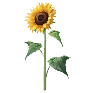 Sunflower Transparent Watermark PNG 05262024 PNG