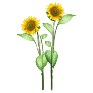Sunflower Transparent Watermark PNG Nuv PNG