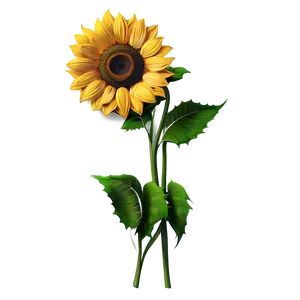 Sunflower Wall Art PNG 05252024 PNG