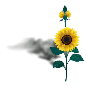 Sunflower Wallpaper PNG 05032024