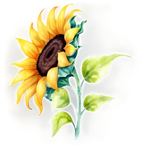 Sunflower Watercolor Decorative Element Png 06272024 PNG image