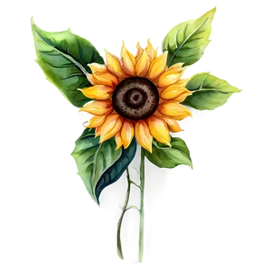 Sunflower Watercolor Decorative Element Png Oud PNG image