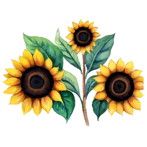 Sunflower Watercolor Diy Craft PNG Ten