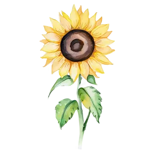 Sunflower Watercolor Greeting Card Design Png Adc59 PNG image