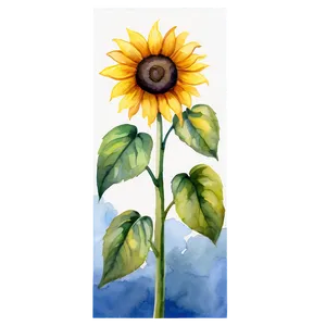 Sunflower Watercolor On Canvas PNG 55