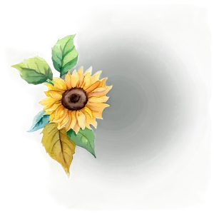 Sunflower Watercolor Phone Wallpaper PNG Bcm