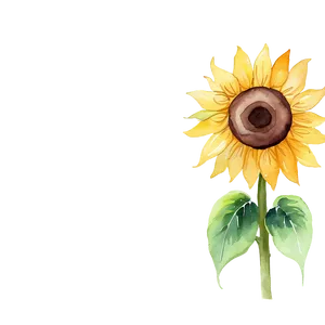 Sunflower Watercolor Phone Wallpaper PNG Xht PNG