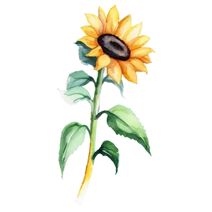Sunflower Watercolor Planner Decoration PNG Oto PNG
