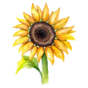 Sunflower Watercolor Profile Picture PNG 06272024 PNG