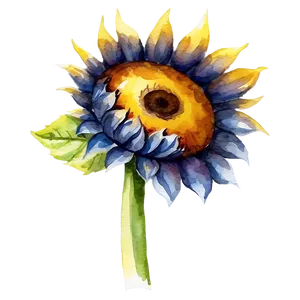 Sunflower Watercolor Profile Picture PNG Lta PNG