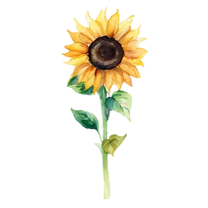 Sunflower Watercolor Seamless Pattern PNG Syx PNG