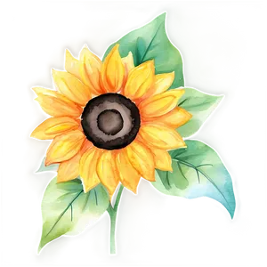 Sunflower Watercolor Stationery Design PNG 28