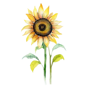 Sunflower Watercolor Tattoo Design PNG Wiy PNG