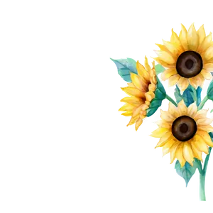 Sunflower Watercolor Wallpaper Png Mnw79 PNG image