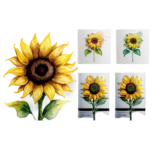 Sunflower Watercolor With Quotes PNG 06272024