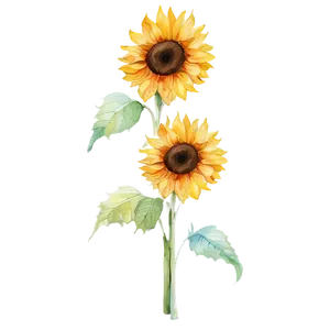 Sunflower Watercolor With Quotes PNG 49