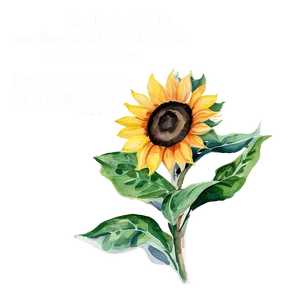 Sunflower Watercolor With Quotes PNG Bys