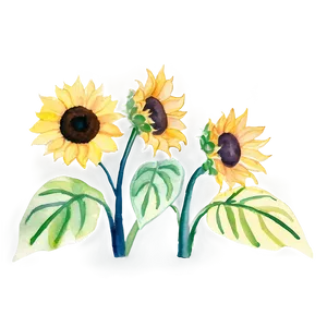 Sunflower Watercolor Youtube Thumbnail PNG 06272024 PNG