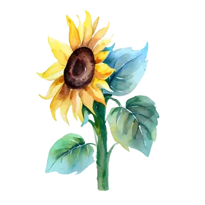Sunflower Watercolor Youtube Thumbnail PNG 06272024