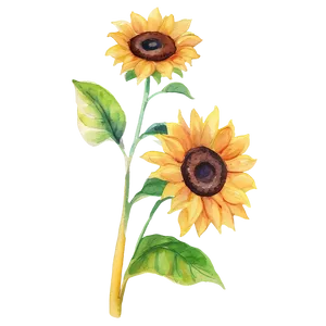 Sunflower Watercolor Youtube Thumbnail PNG 6 PNG