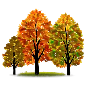 Sunlight Through Fall Trees PNG 77