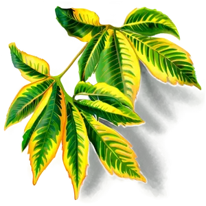 Sunlight Through Leaves PNG Hdc5