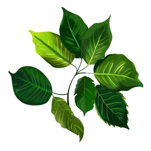 Sunlight Through Leaves PNG Mln