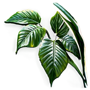 Sunlight Through Leaves PNG Yea79