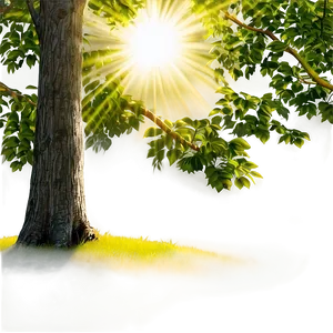 "sunlight Through Trees: Nature Sun PNG" Jqm
