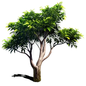 Sunlit Bush PNG Ilh1