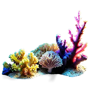 Sunlit Coral Reef PNG Bnb