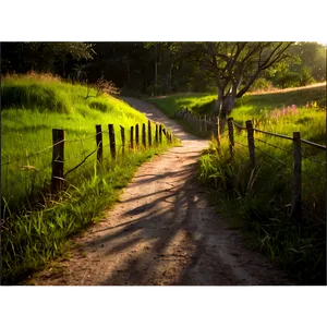 Sunlit Countryside Path Png Fmr PNG image