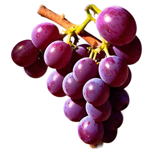 Sunlit Grape Image PNG Qam PNG