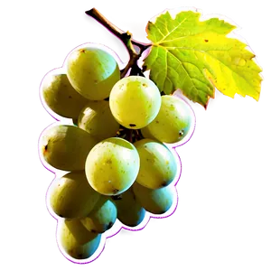 Sunlit Grape Image PNG Uhg PNG