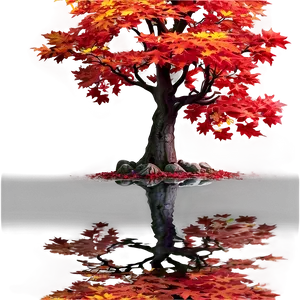 Sunlit Maple Tree Tranquility Png Yhi64 PNG image