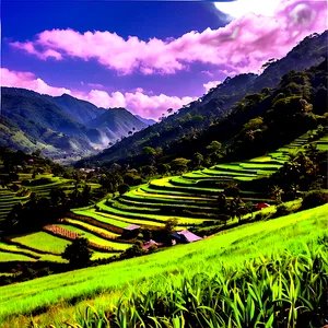 Sunny Countryside View Png Typ59 PNG image