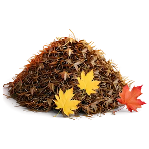 Sunny Day Leaf Pile Png 06202024 PNG image