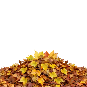 Sunny Day Leaf Pile Png 06202024 PNG image