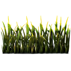 Sunny Grass Patch Png Nwl43 PNG image